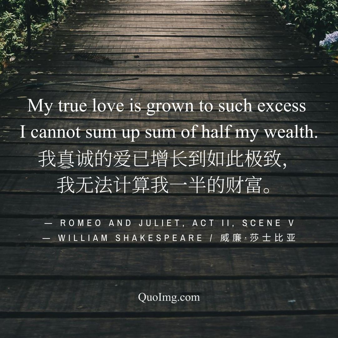 莎士比亚热门50句情诗爱情语录：高级告白，浪漫至死（配图绝美）图 (22)