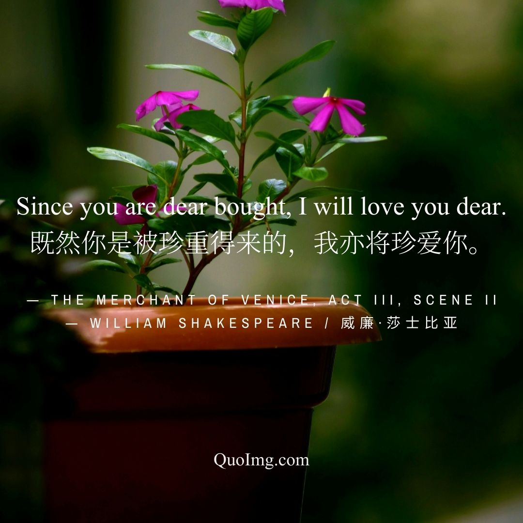 莎士比亚热门50句情诗爱情语录：高级告白，浪漫至死（配图绝美）图 (24)