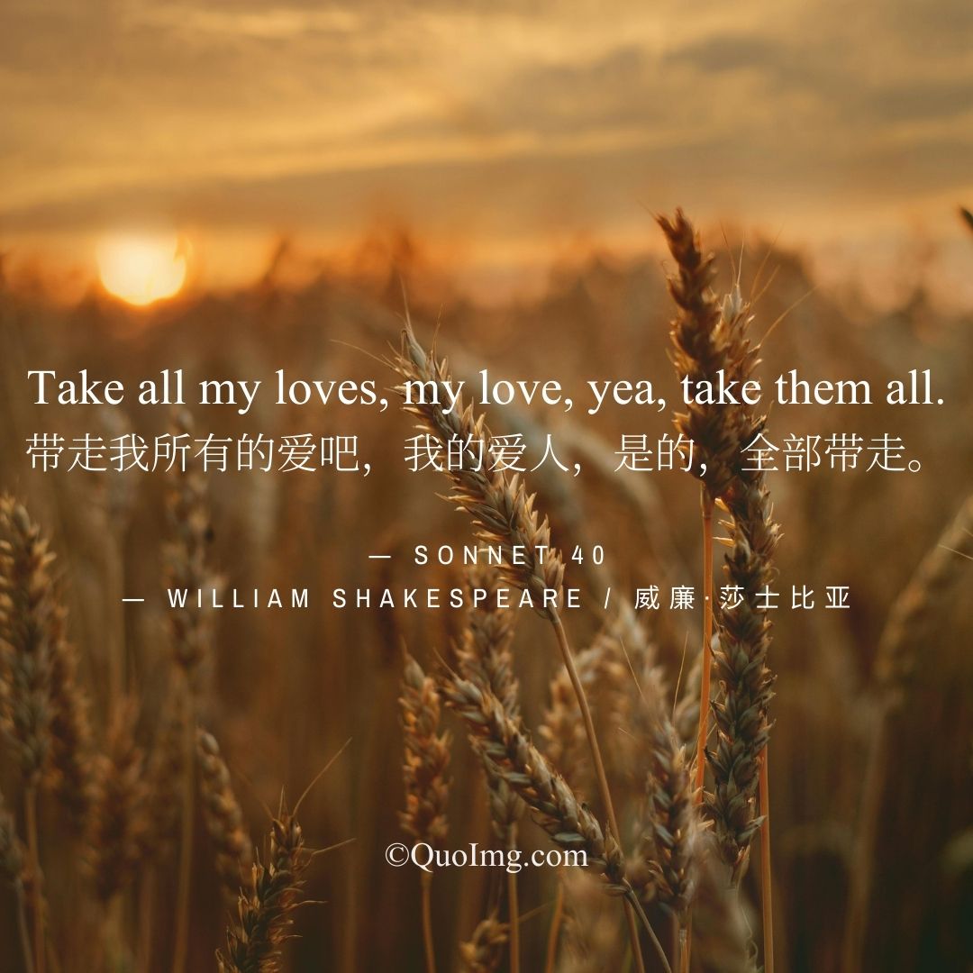 莎士比亚热门50句情诗爱情语录：高级告白，浪漫至死（配图绝美）图 (25)